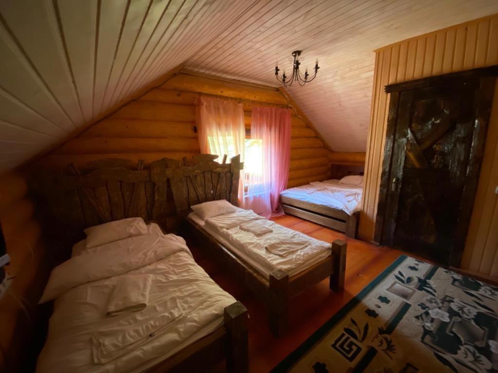 Hotel Berloga-Sinevir Synevyrsʼka Polyana エクステリア 写真